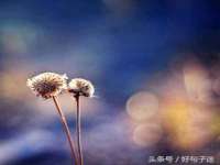 海南鹏腾房地产经纪有限公司