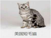 海南鹏腾房地产经纪有限公司