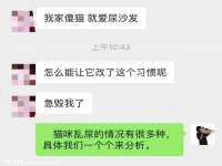 海南鹏腾房地产经纪有限公司