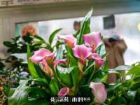 海南鹏腾房地产经纪有限公司