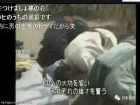 海南鹏腾房地产经纪有限公司
