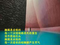 海南鹏腾房地产经纪有限公司